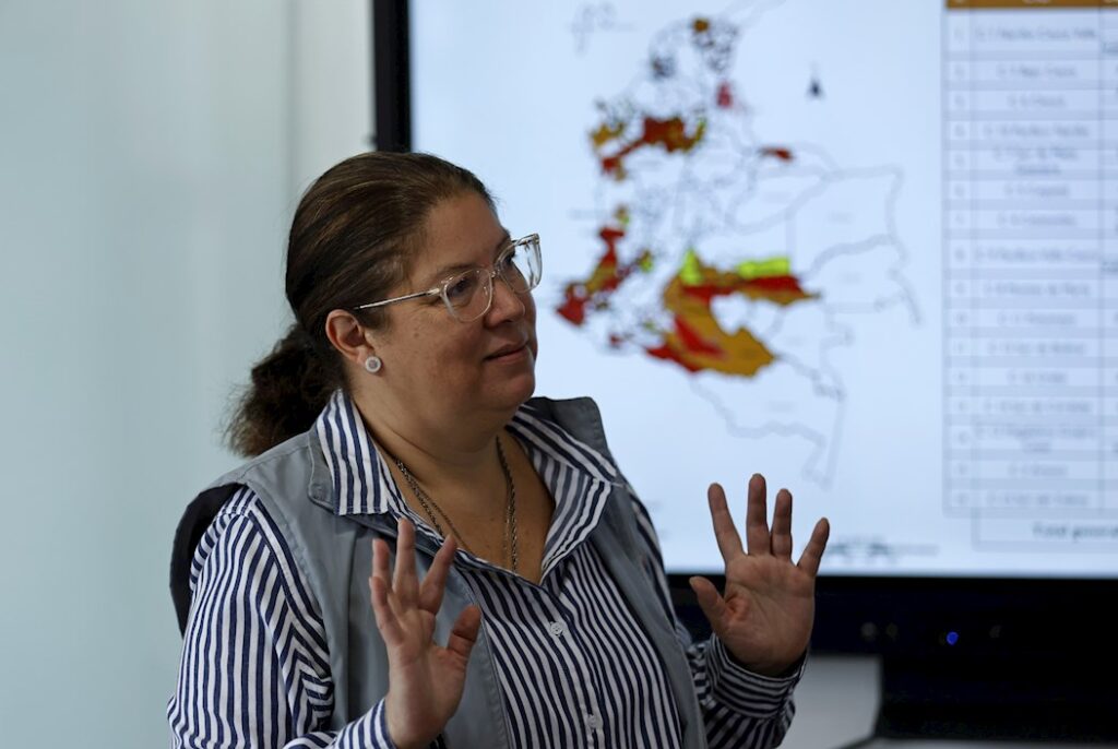Alejandra Barrios, directora de la ONG Misión de Observación Electoral (MOE)