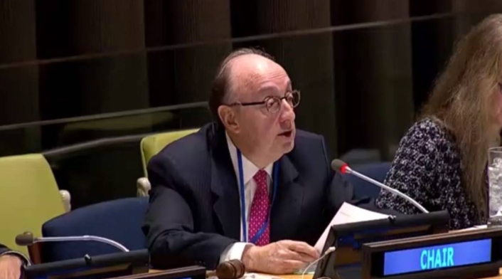 declaraciones de CIDH y ONU