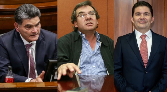 Elección de procurador