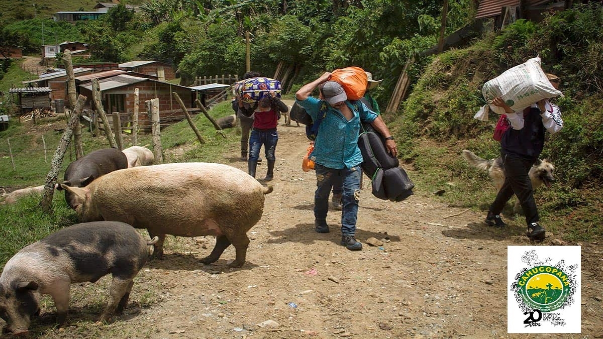 Corporación para la Paz alerta